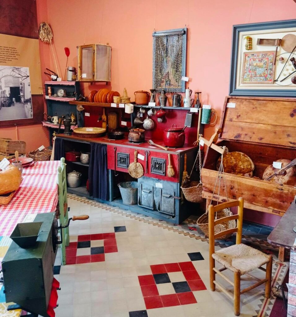 Una part de l'exposició 'Lloret, zona agrícola KM 0' (RRALL)