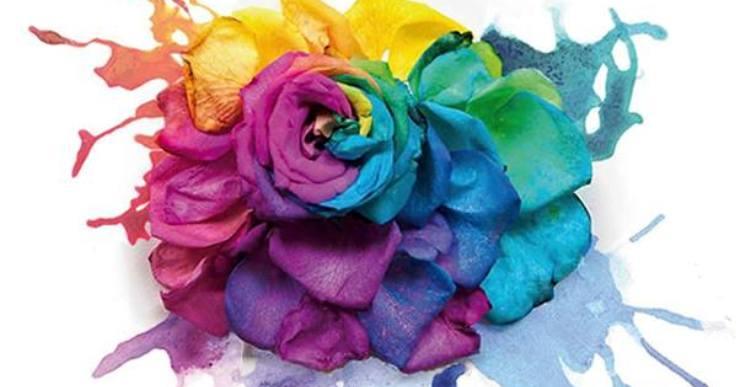 Diumenge se celebra l’onzena edició de la Festa de les Flors de les Alegries