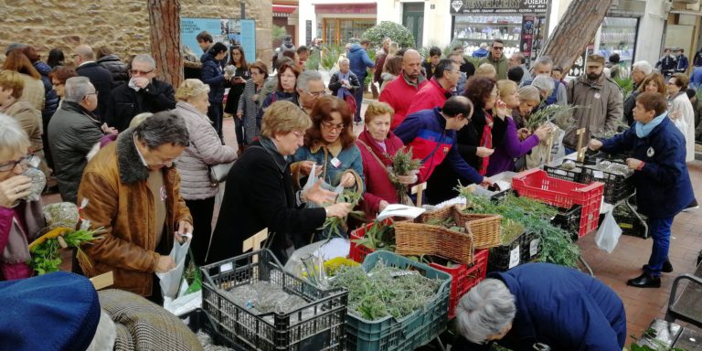 La Fira dels Sants Metges del 2018.