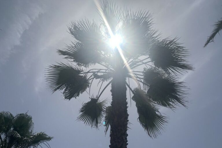 El sol al cel de Lloret, avui
