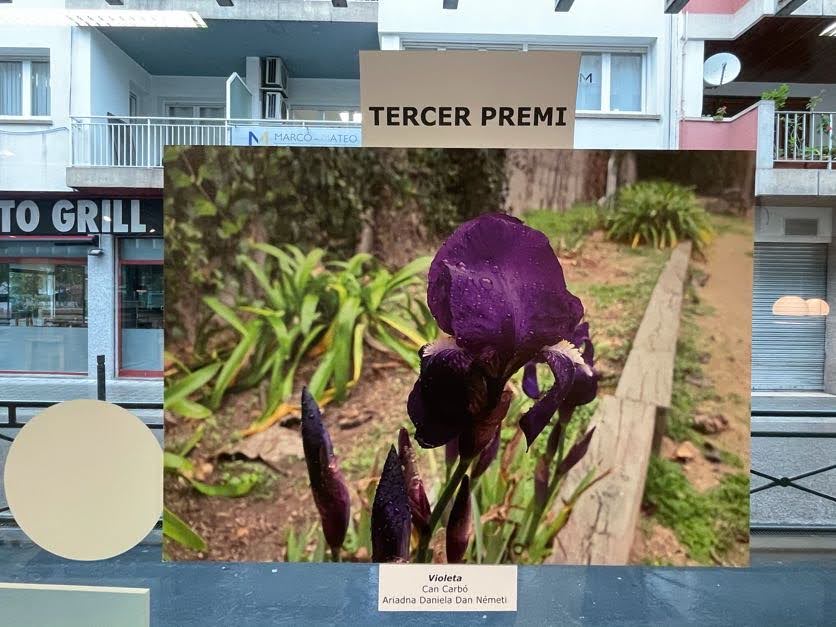 foto expo 2