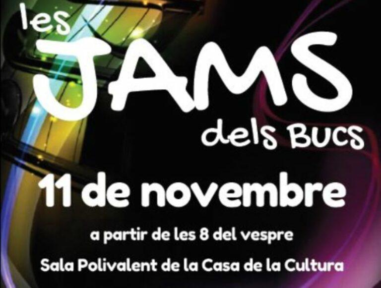 Els Bucs d’Assaig se sumen a la Festa Major amb un concert de música ‘improvisat’