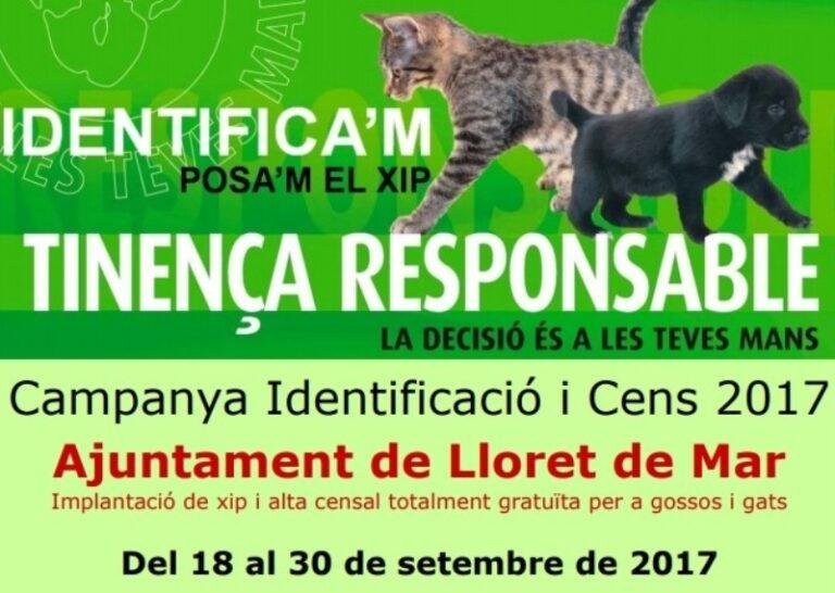 Només hi ha 63 gats donats d’alta en el cens municipal de Lloret de Mar