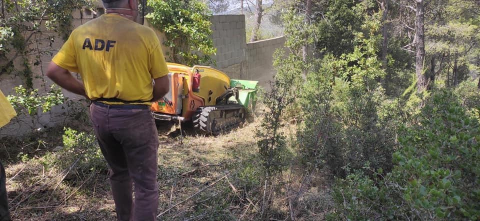 gestio forestal adf