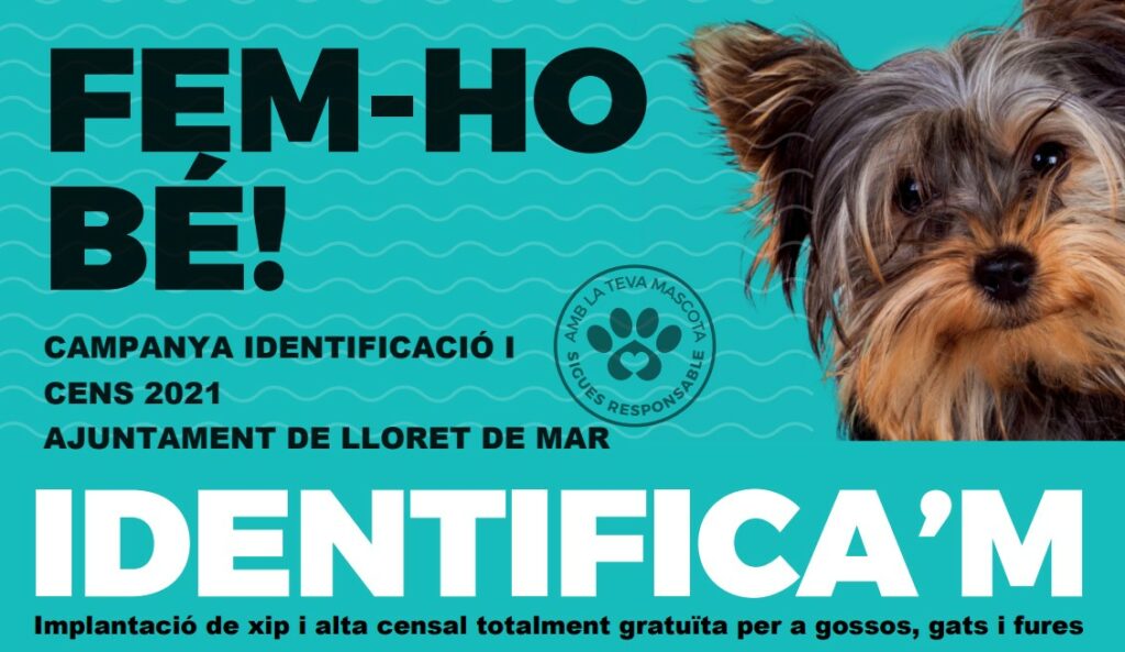 Cartell de la campanya