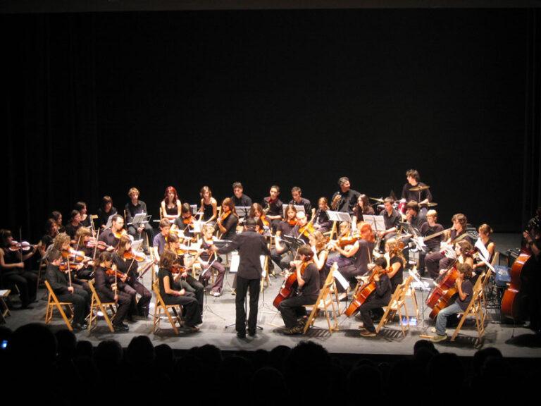 L’Orquestra Jove de la Selva obrirà el cicle Tocats per la Música