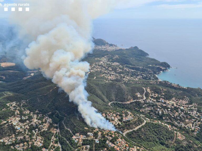 Imatge aèria de l'incendi (Agents Rurals)