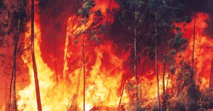 Entra en vigor la prohibició de fer foc al bosc i voltants fins al 15 d’octubre