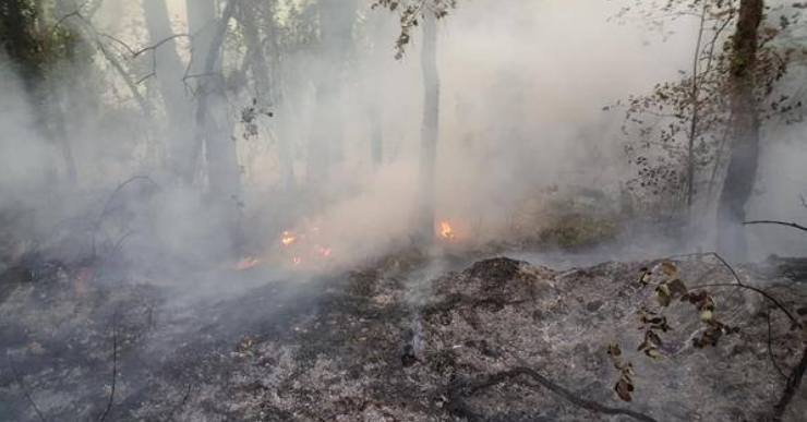 Es descarta que l’incendi de divendres a Can Sota fos intencionat