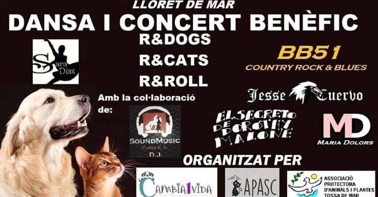 Jornada solidària per la defensa dels animals, aquest divendres a la tarda