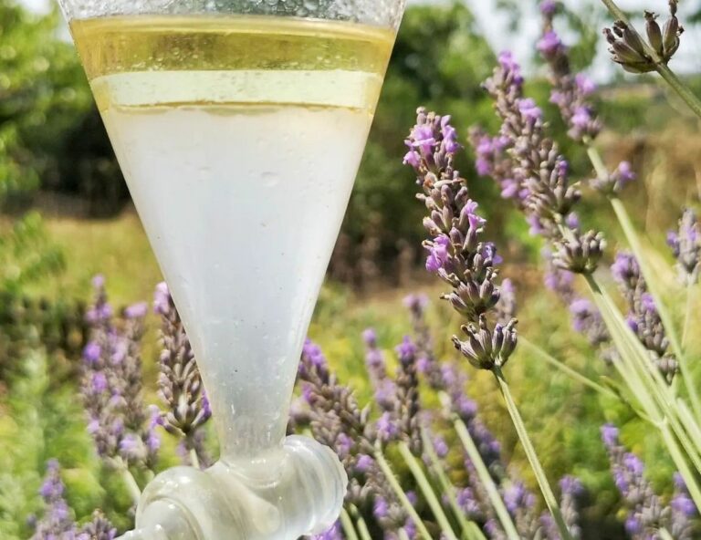 destilació de lavanda