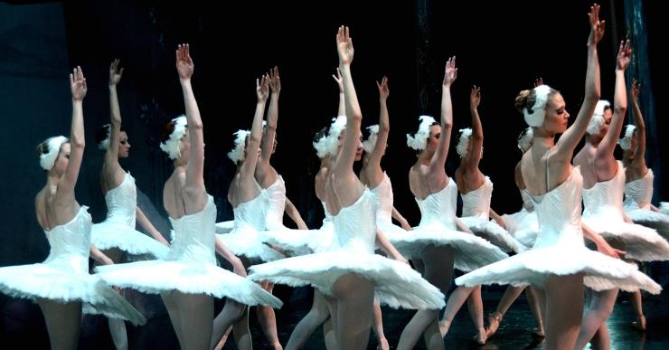 Una cinquantena de persones veuran ‘El llac dels cignes’ a l’Auditori de Girona