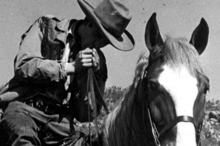 'Los caballos mueren al amanecer'
