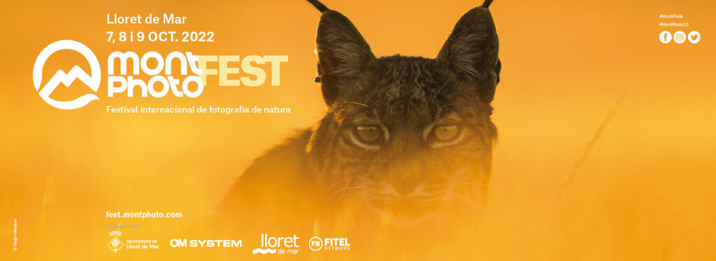 m fest