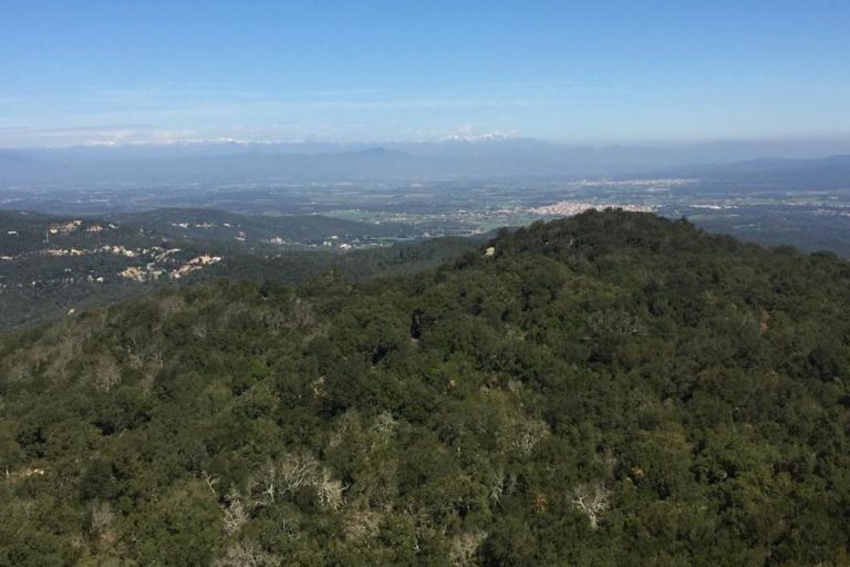 Massís de l'Ardenya Cadiretes (wikiloc).
