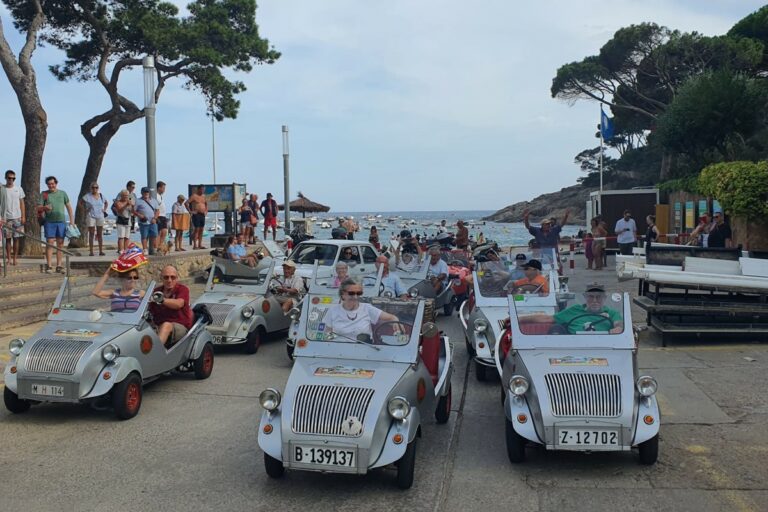 Alguns dels microcotxes aplegats (Clàssic Motor Club del Bages)