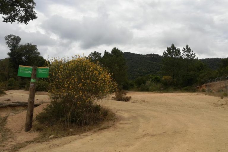 El Centre Excursionista fa una sortida aquest diumenge al Montgròs