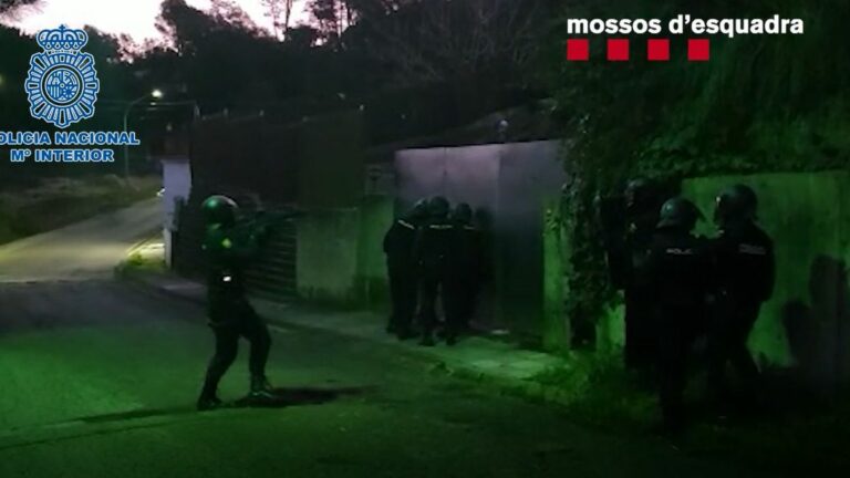 Cau una banda dedicada a la marihuana que operava entre Lloret i el Maresme i li comissen 19.000 plantes