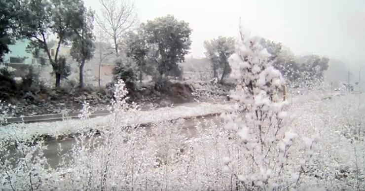 L’anunciada nevada d’aquest dimecres a Lloret, en vídeo i fotos enviades pels nostres oients