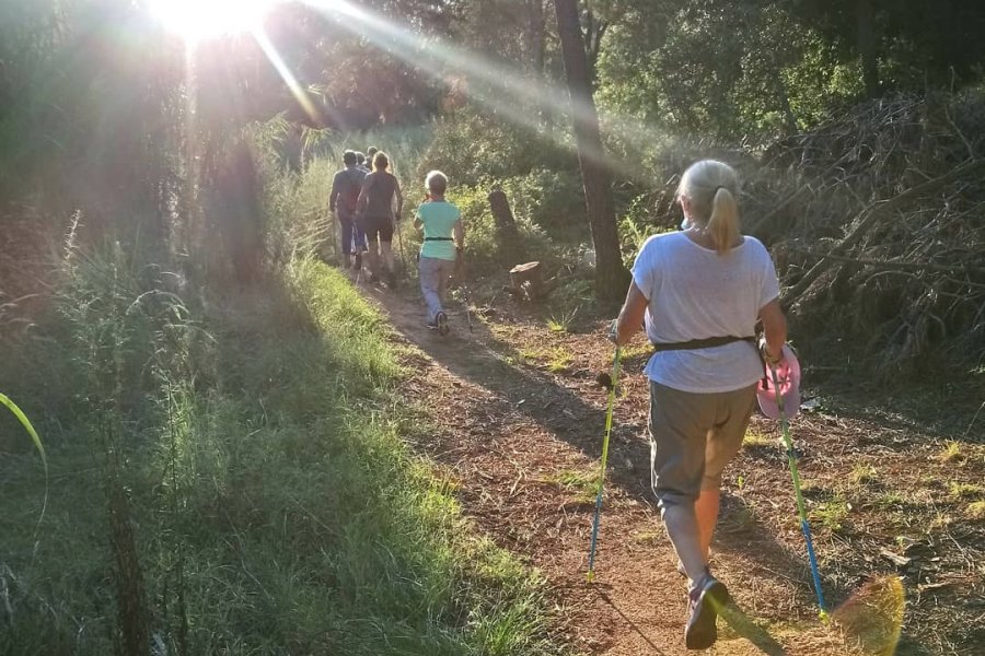 Usuaris de Nordic Walking fent un recorregut per boscos de la vila.