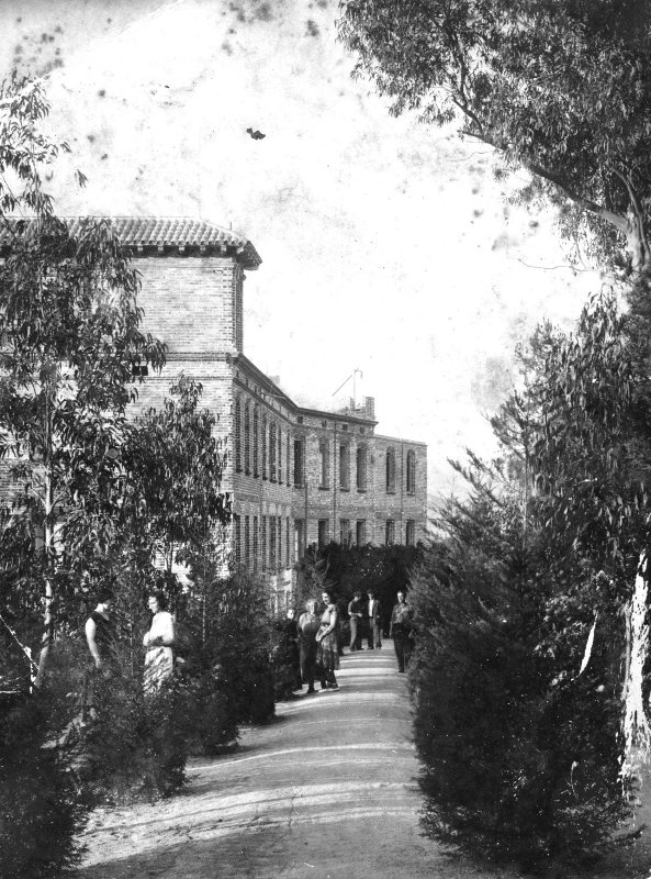 panteo 3