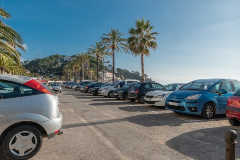 Aparcament de Sa Caleta (Worldorgs)