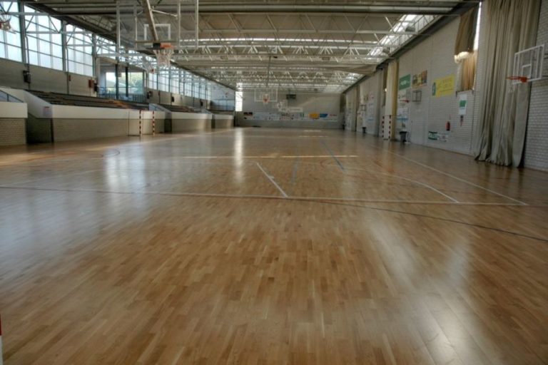 El pavelló del Molí, tancat (Spainsport)