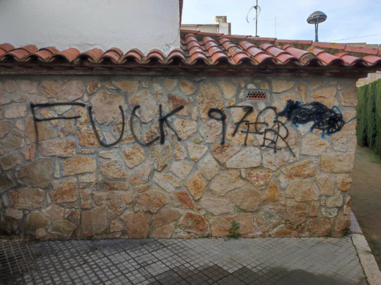 Algunes de les pintades detectades (El Puntet)