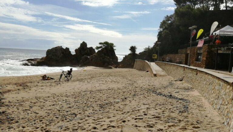Els gossos ja poden passejar per la platja de Fenals