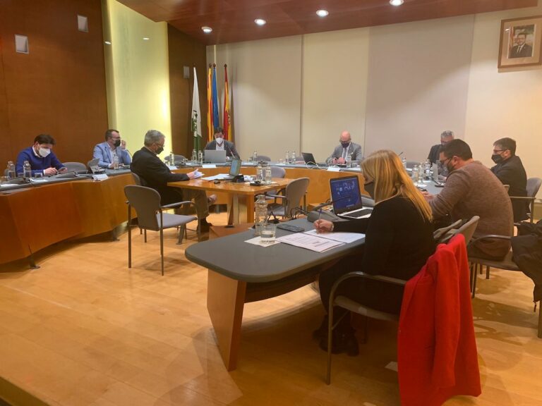 Ple municipal del gener del 2022