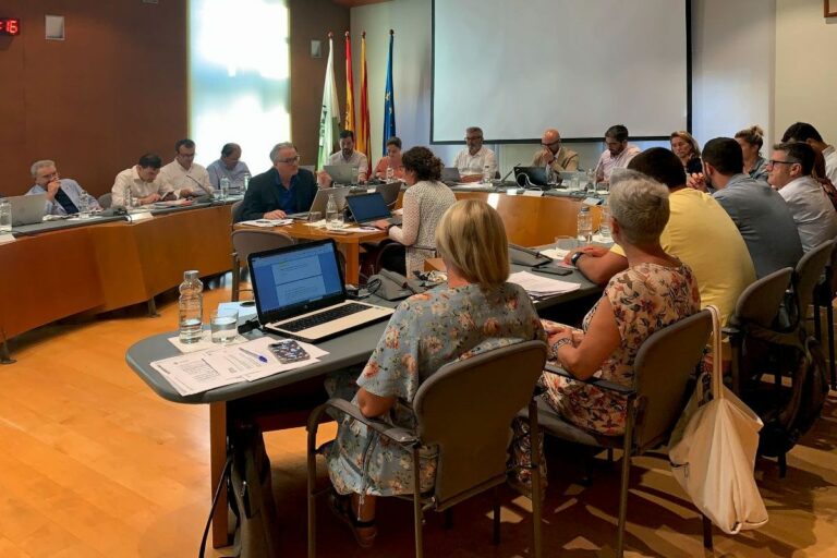 plenari de l'1 d'agost
