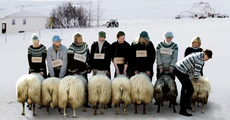 ‘RAMS (El valle de los carneros)’ tanca la temporada de cineclub