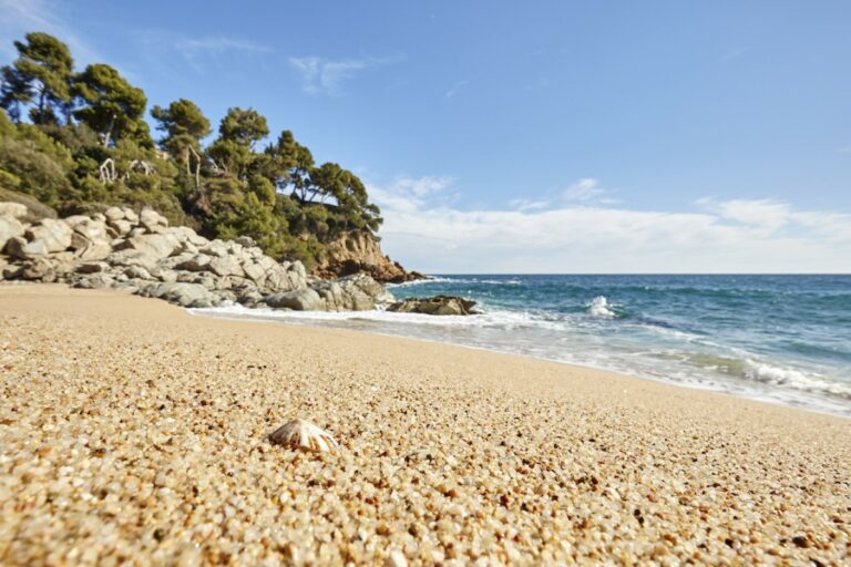 Platja de Sa Boadella (Lloret Turisme)