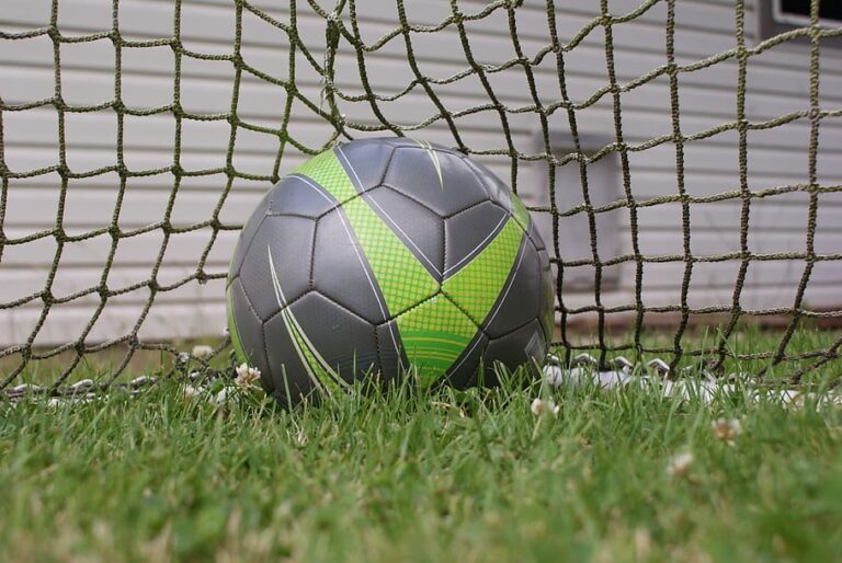 Pilota de futbol.