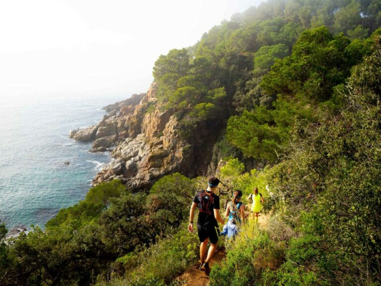 Trail Selva Marítima 2019 (David Sola)
