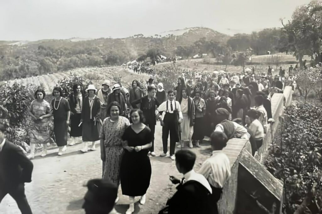 vinya historica sant pere del bosc