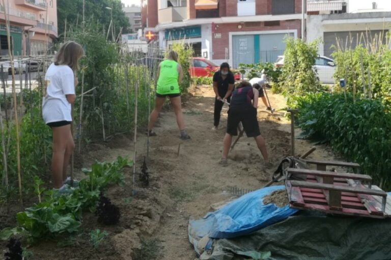 Els Voluntaris de la Tarda Jove, ajudant en els horts socials.