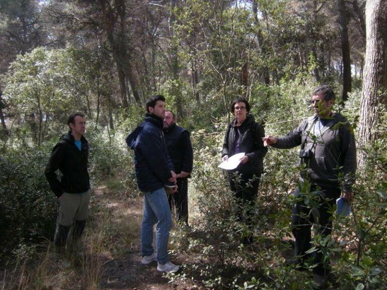 Els voluntaris ocupen la pineda de Fenals