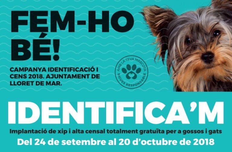Aquest dissabte, finalitza la campanya per xipar i donar d’alta les mascotes al cens municipal